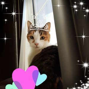 Meet your Posher, Tiffany